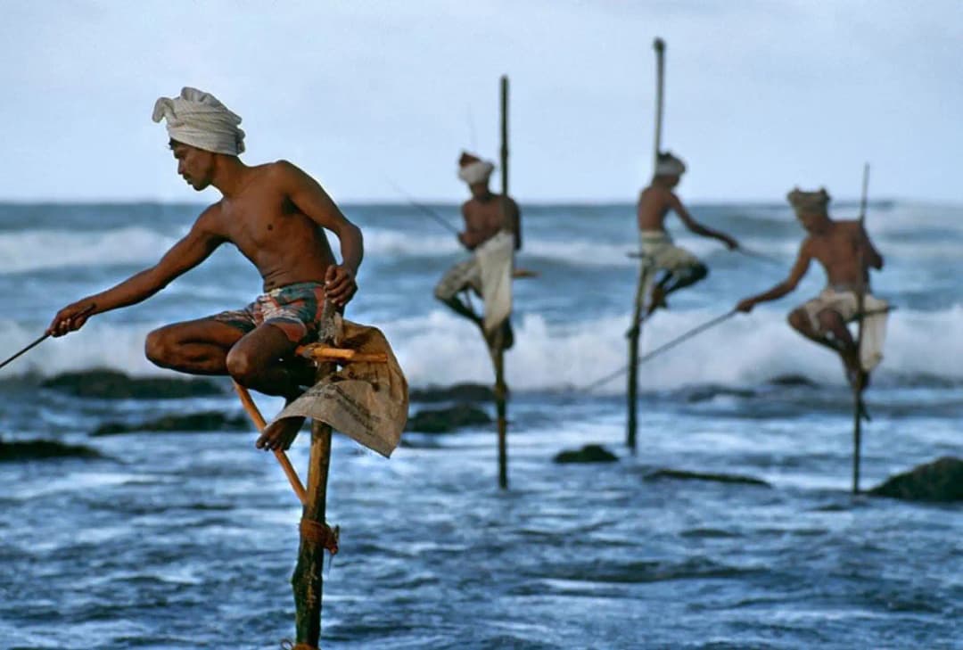 Traditional stilt fishing in Sri Lanka by Sri Lanka Convention Bureau