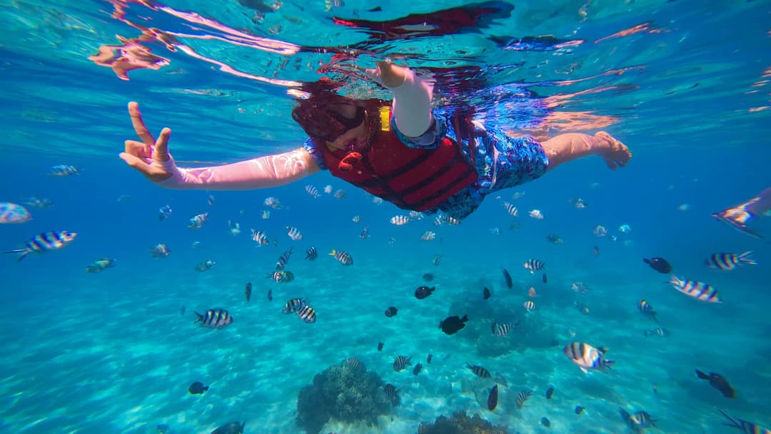 Snorkeling in Hon Mun island, Nha Trang