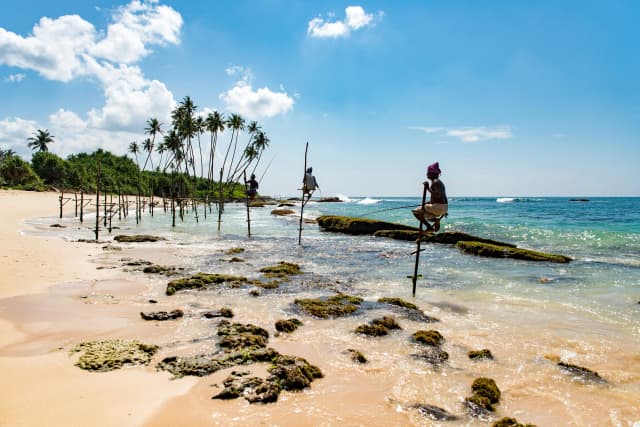 Stilt fishing on Mirissa Beach by Daniel Klein