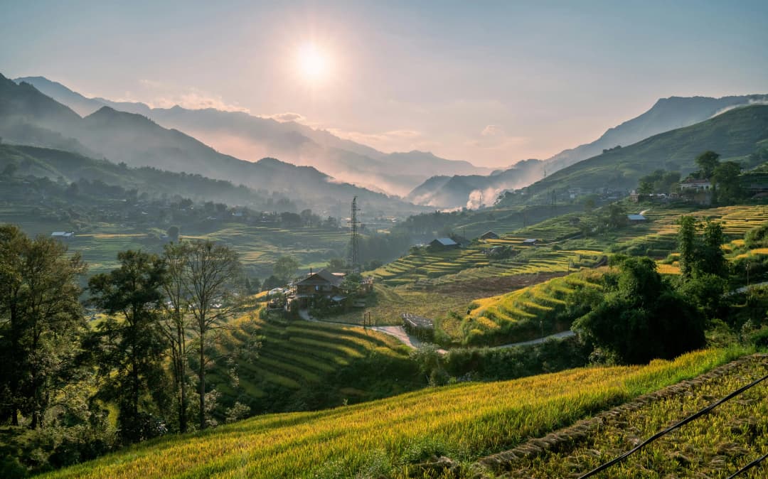 Rice terrace on Sapa
