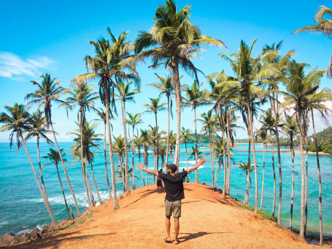 At the Coconut Tree Hill by Farhath Firous