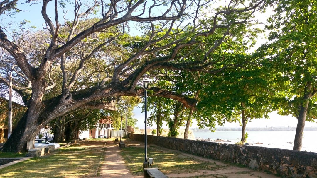 Morning walk in the Dutch Fortress, Galle by Hansa Dasun