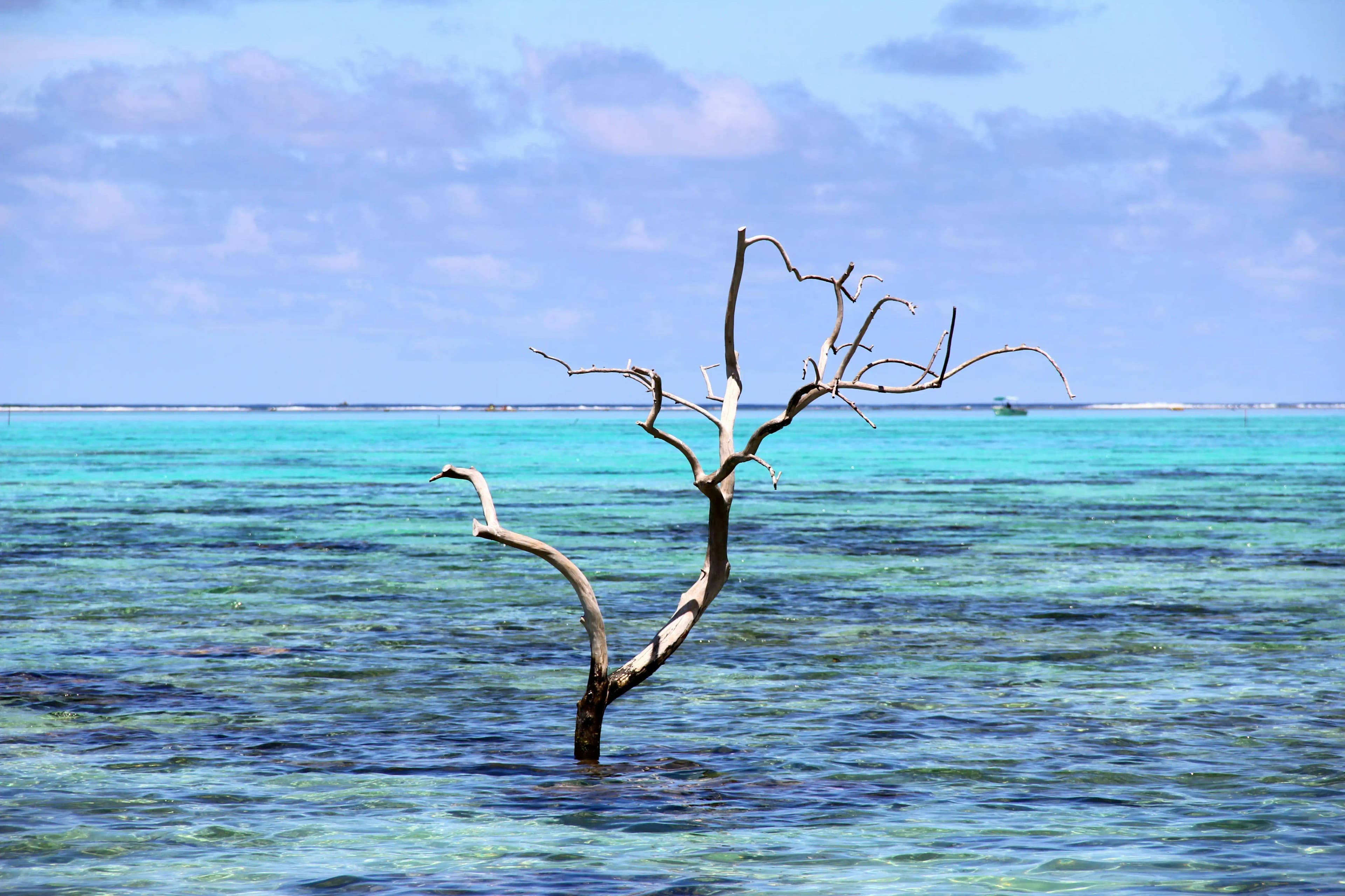  Moorea, Tahiti