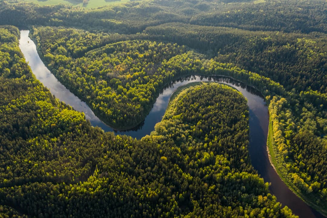 Amazon river and forest