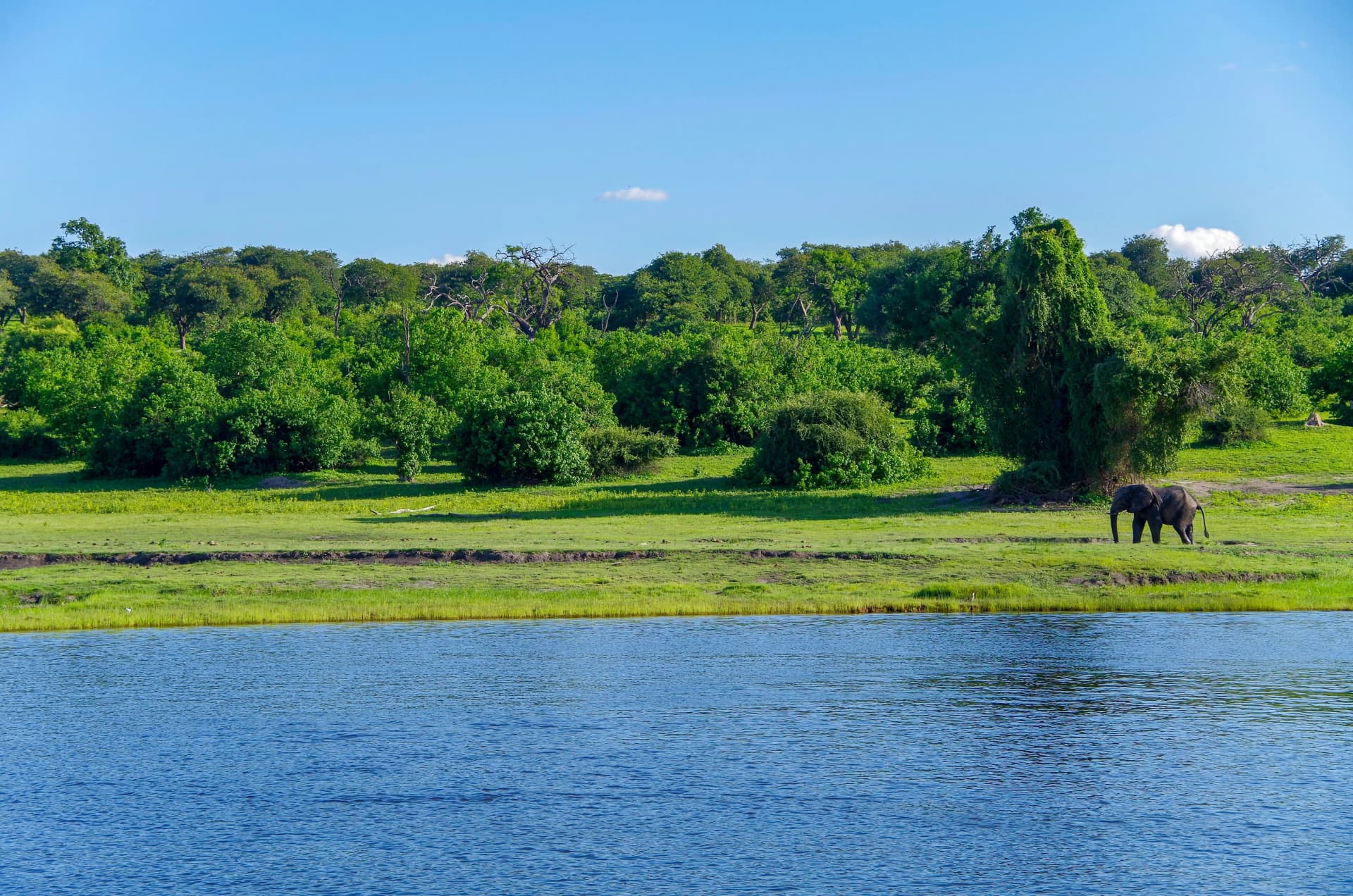 Chobe National Park