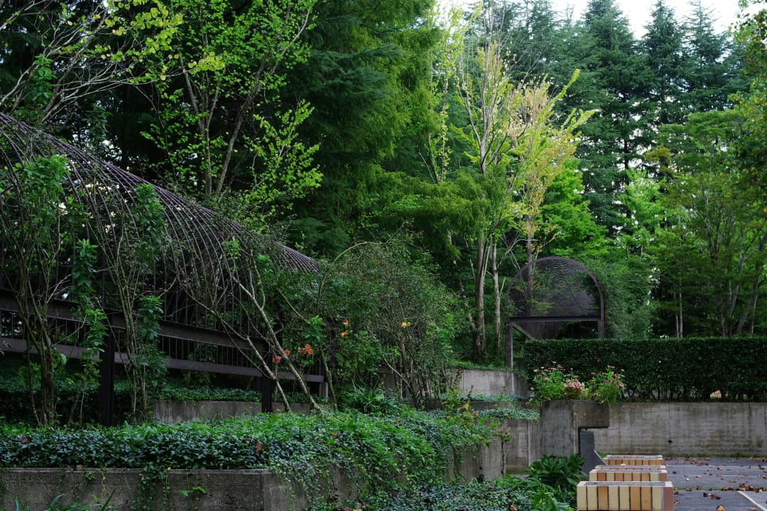 Rikugien Garden in Tokyo