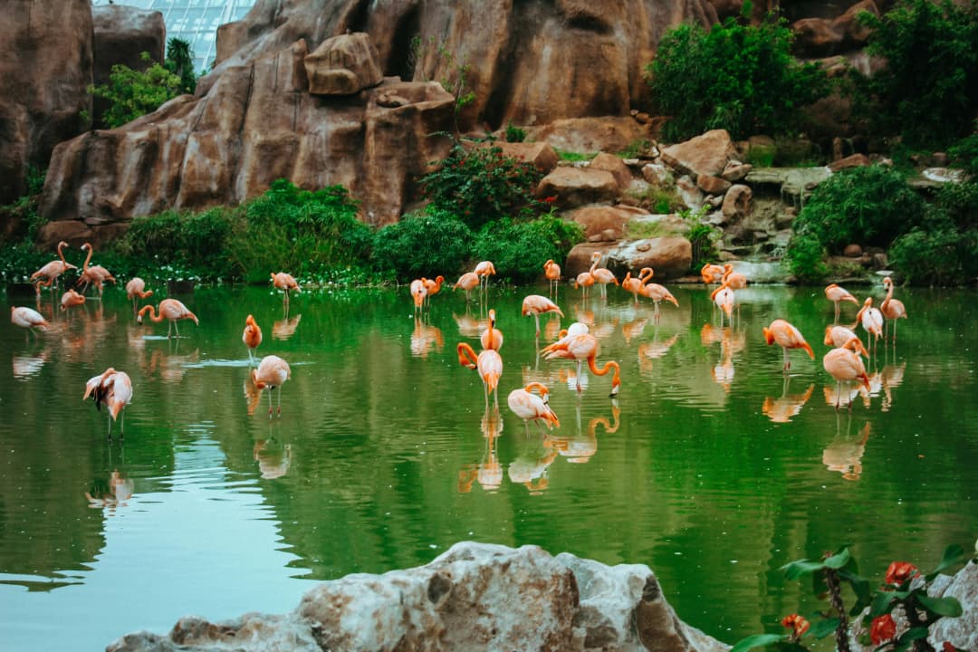 Explore more than just Nha Trang's nature in Vinpearl Park