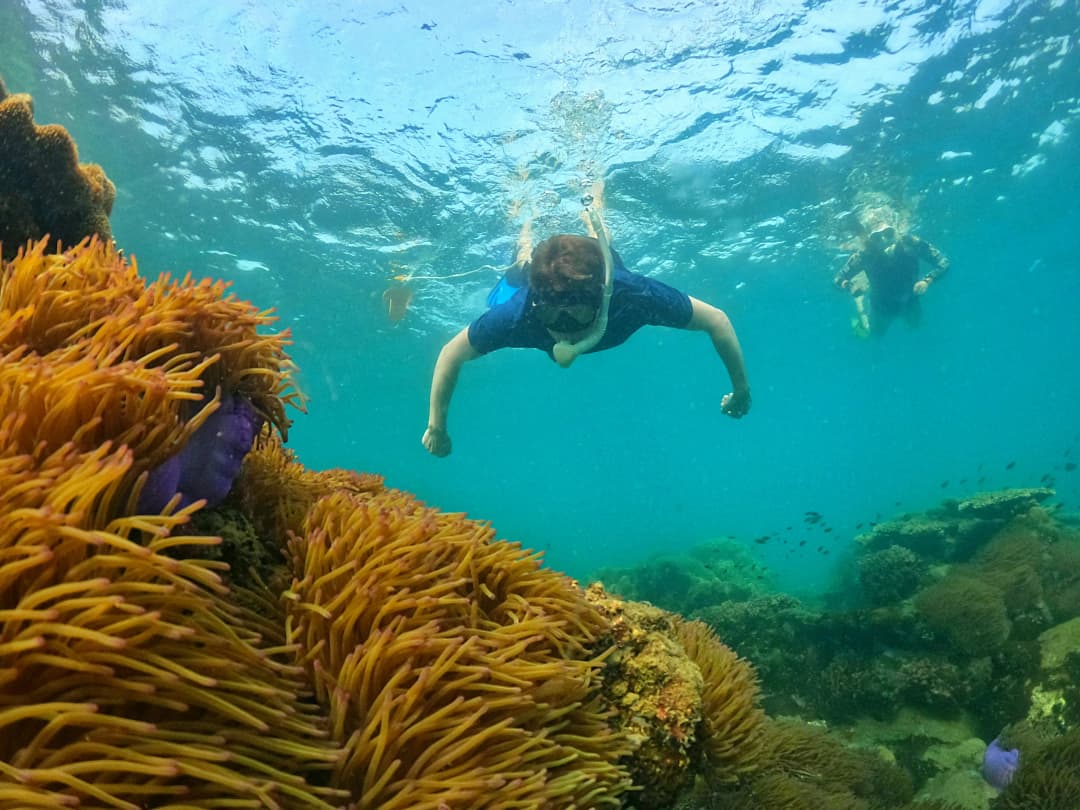 Snorkeling in Starfish Beach
